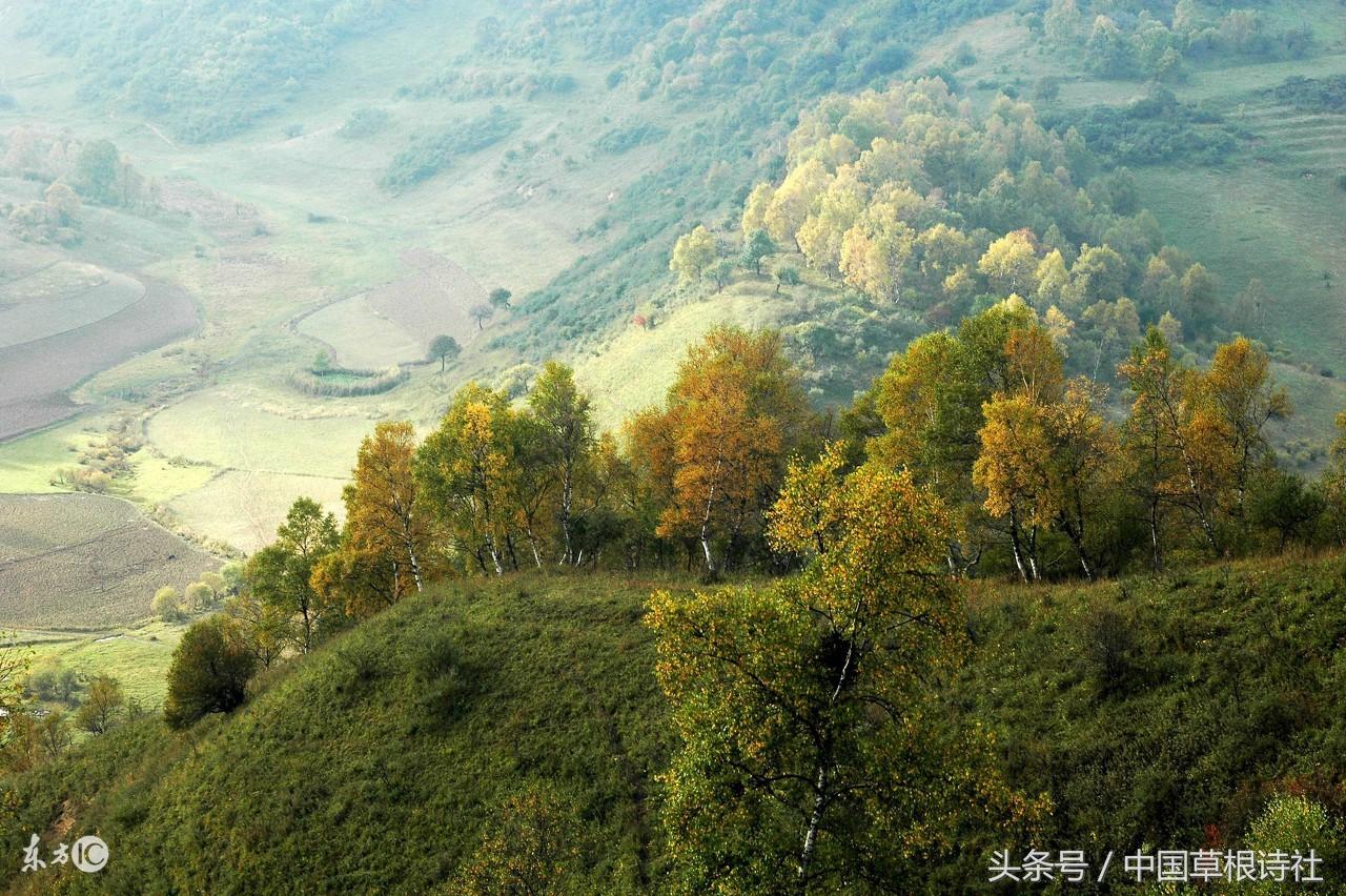 岳飞满江红_全诗(岳飞满江红完整版)