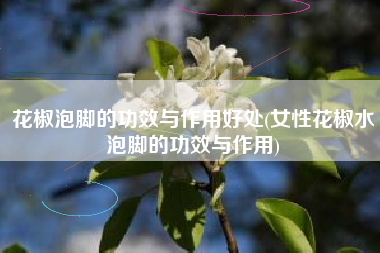 花椒泡脚的功效与作用好处(女性花椒水泡脚的功效与作用)